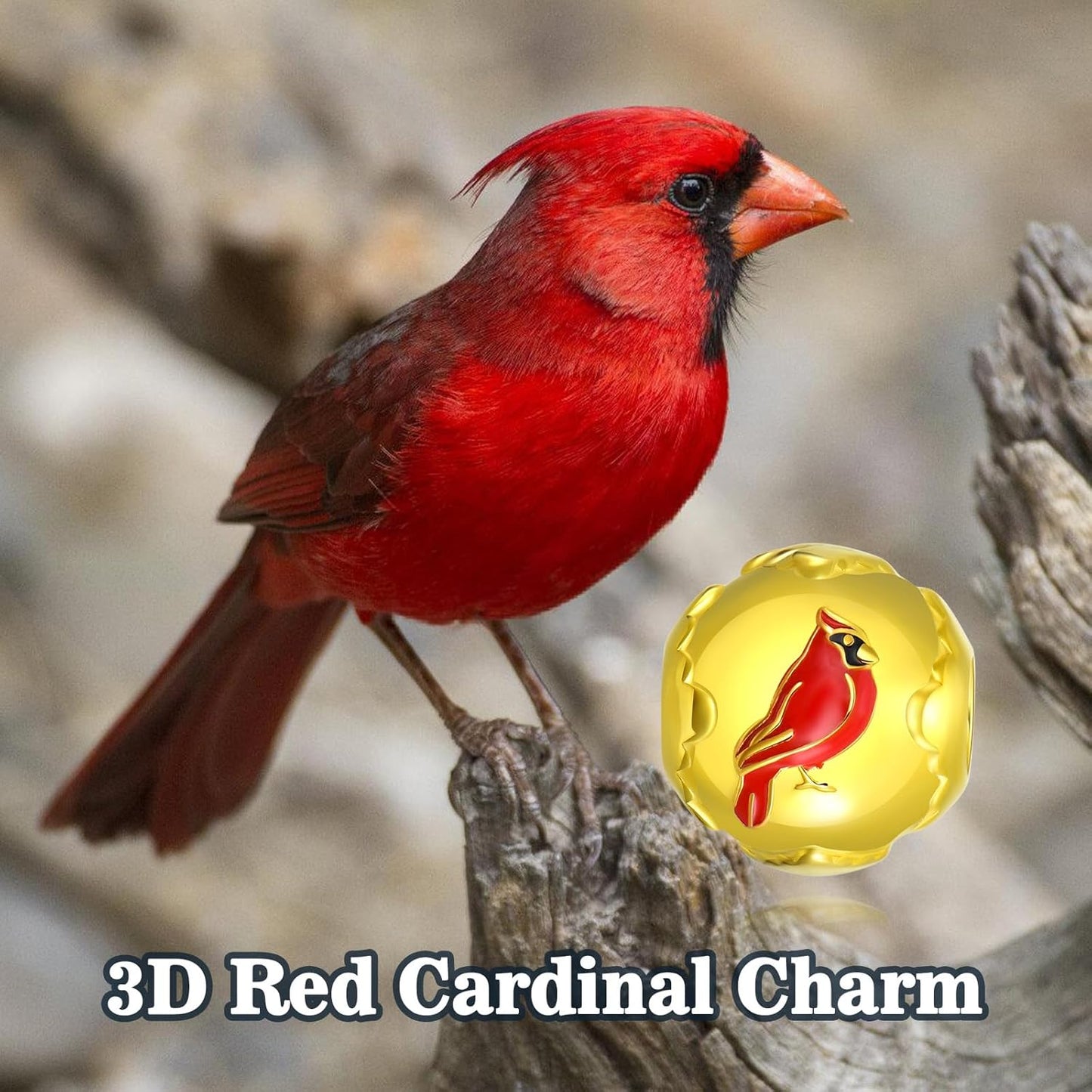 LONAGO Charms for Bracelets 925 Sterling Silver Red Cardinal/Phoenix/Blue Jay/Hummingbird Animal Dangle Charm Bird Bead Fit Bracelet Our Love Never Dies Gifts for Women Mom